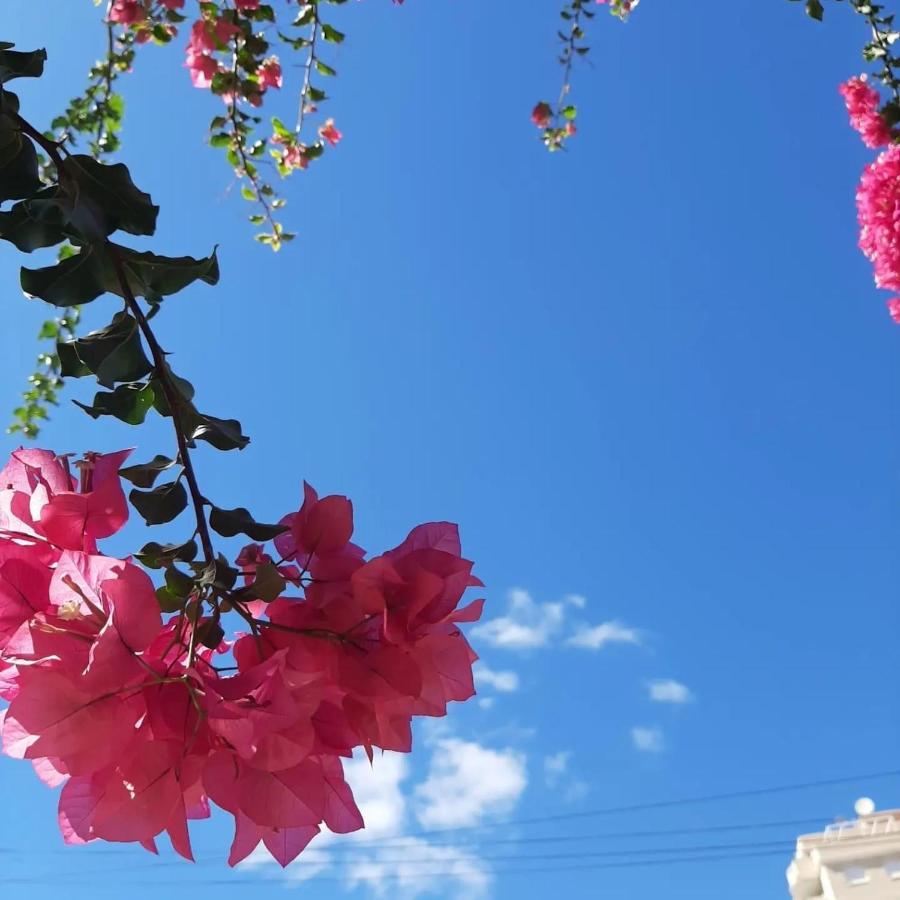 Villa Sueno Azul Torrevieja Zewnętrze zdjęcie